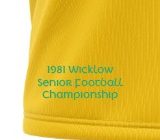 Dunlavin GAA - Retro Jersey