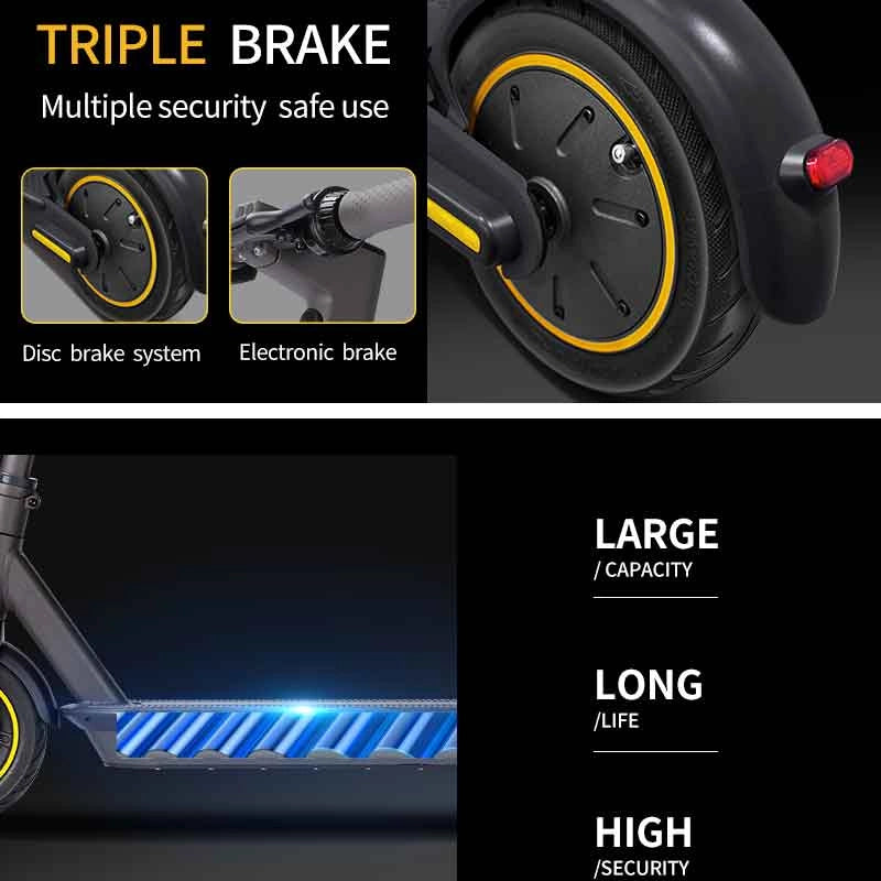 DSsports Evolut Electric Scooter
