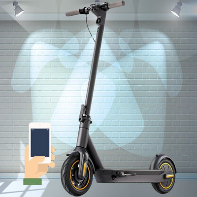 DSsports Evolut Electric Scooter